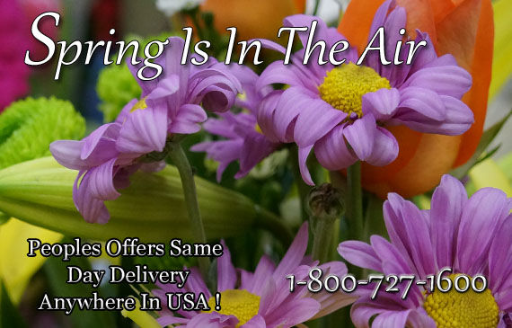 Spring Flowers - Peoples Flowers Offers Gorgeous Fresh Spring Flowers!