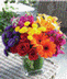 Our Flower Catalogue