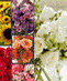 Flower Arrangements - Shop by Color