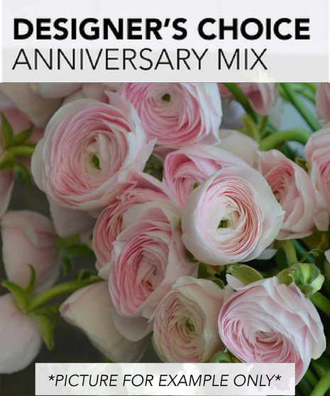 Designer's Choice - Anniversary Mix