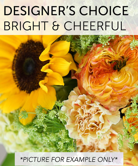 Designer's Choice - Bright and Cheerful