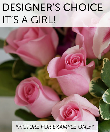 Designer's Choice - It's a Girl!