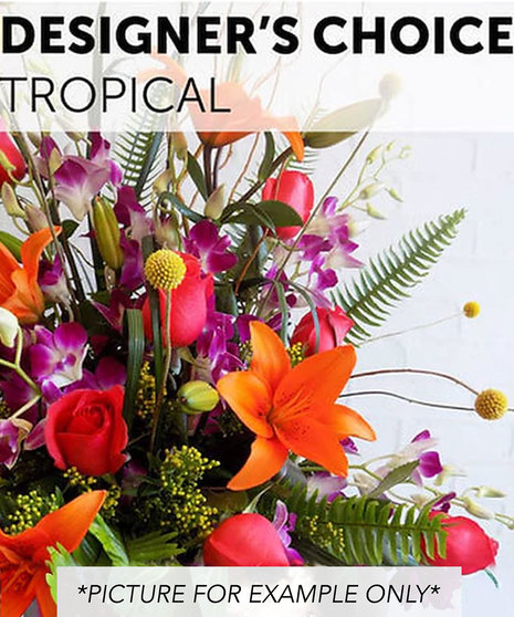 Designer's Choice - Tropical