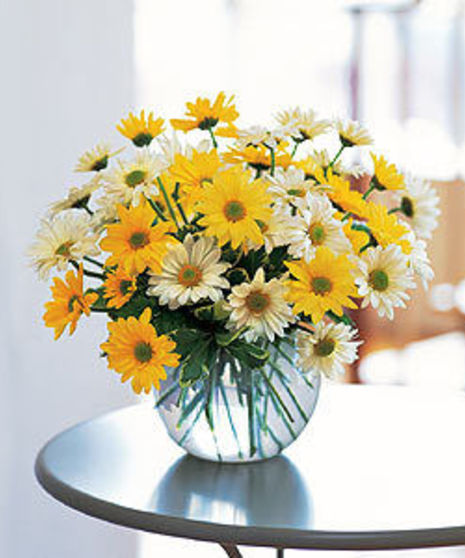 Dashing Daisies