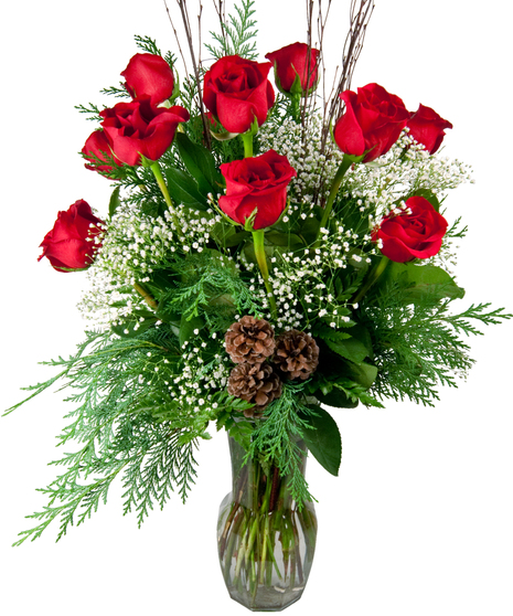 Christmas Dozen Roses