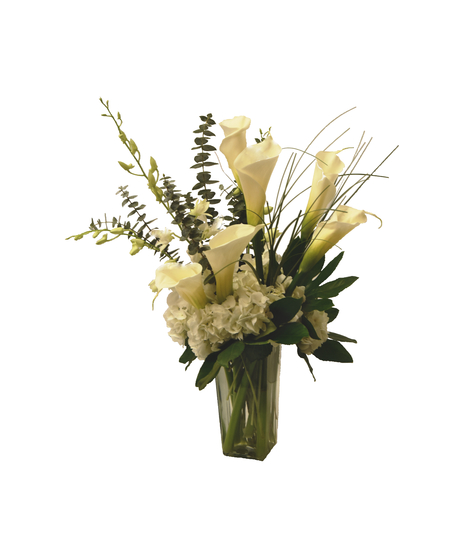 Exquisite Callas