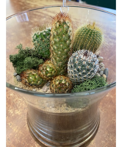 Terrarium Garden