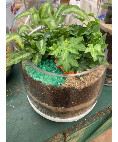 Terrarium Garden