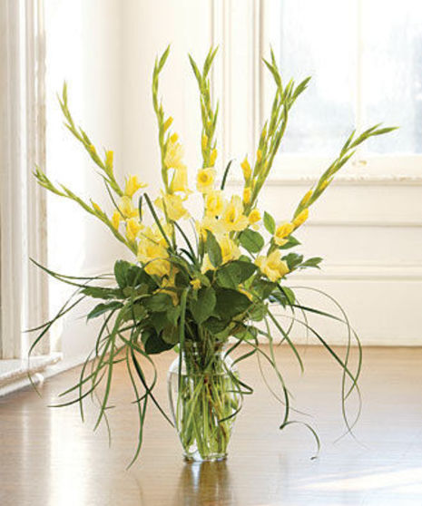 Glorious Gladiolus