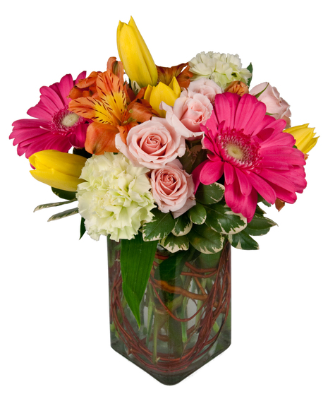 Blissful Blooms
