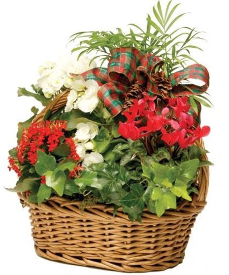 Holiday European Garden Basket