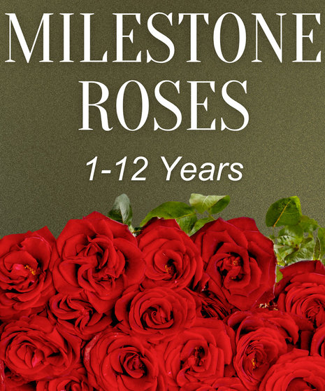 Milestone Roses 1-12 Years
