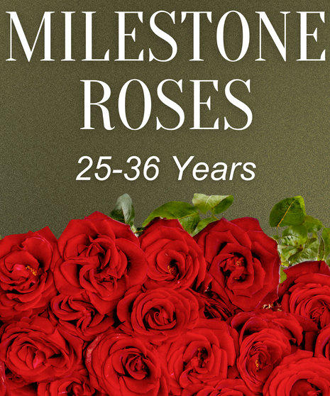 Milestone Roses 25-36 Years