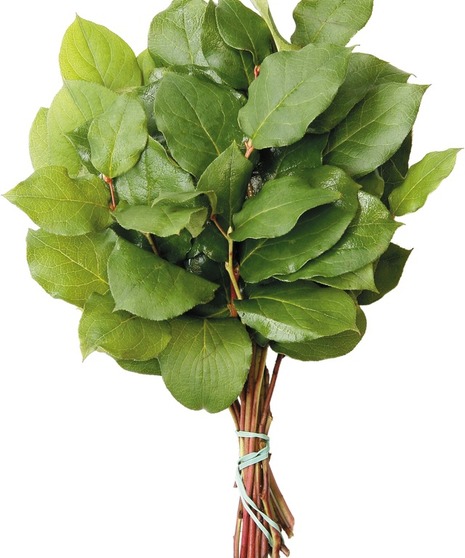 Salal Packaged Flowers