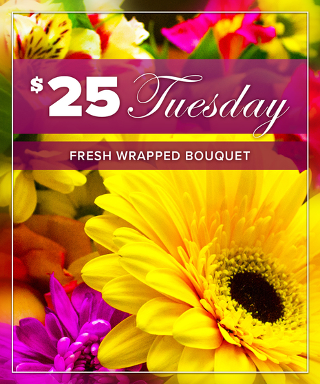 $25 Tuesday