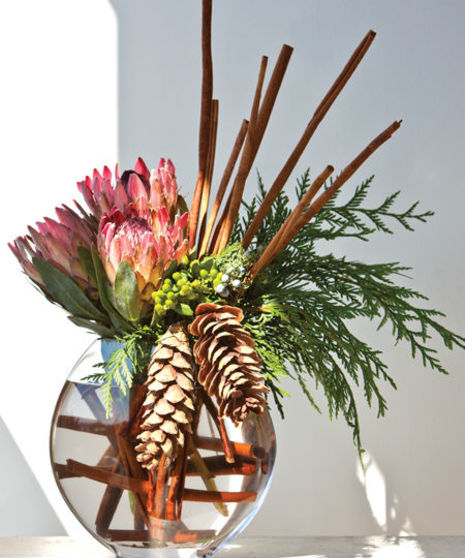 Proteas & Pinecones