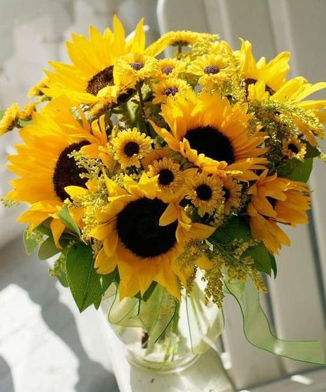 Summer Sunflowers