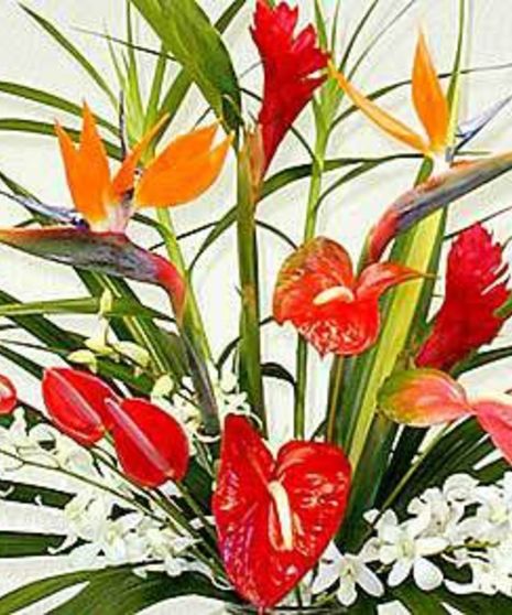 Custom Tropical Bouquet