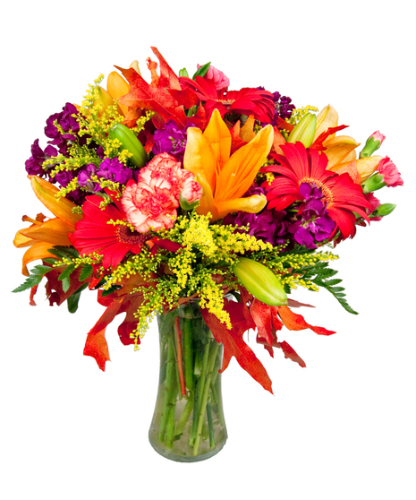 Fall Gerbera Garden