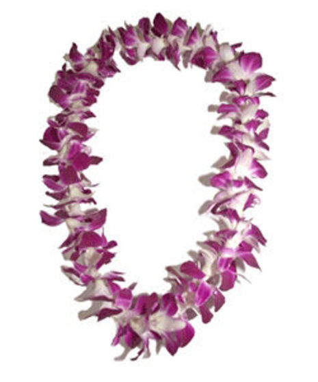 Dendrobium Orchid Lei