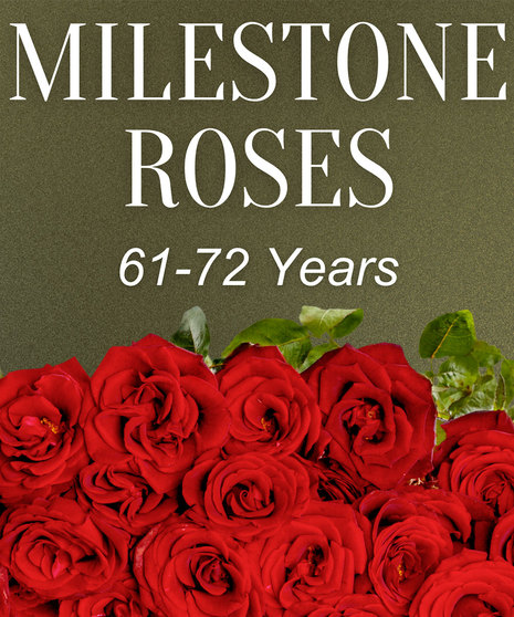 Milestone Roses 61-72 Years